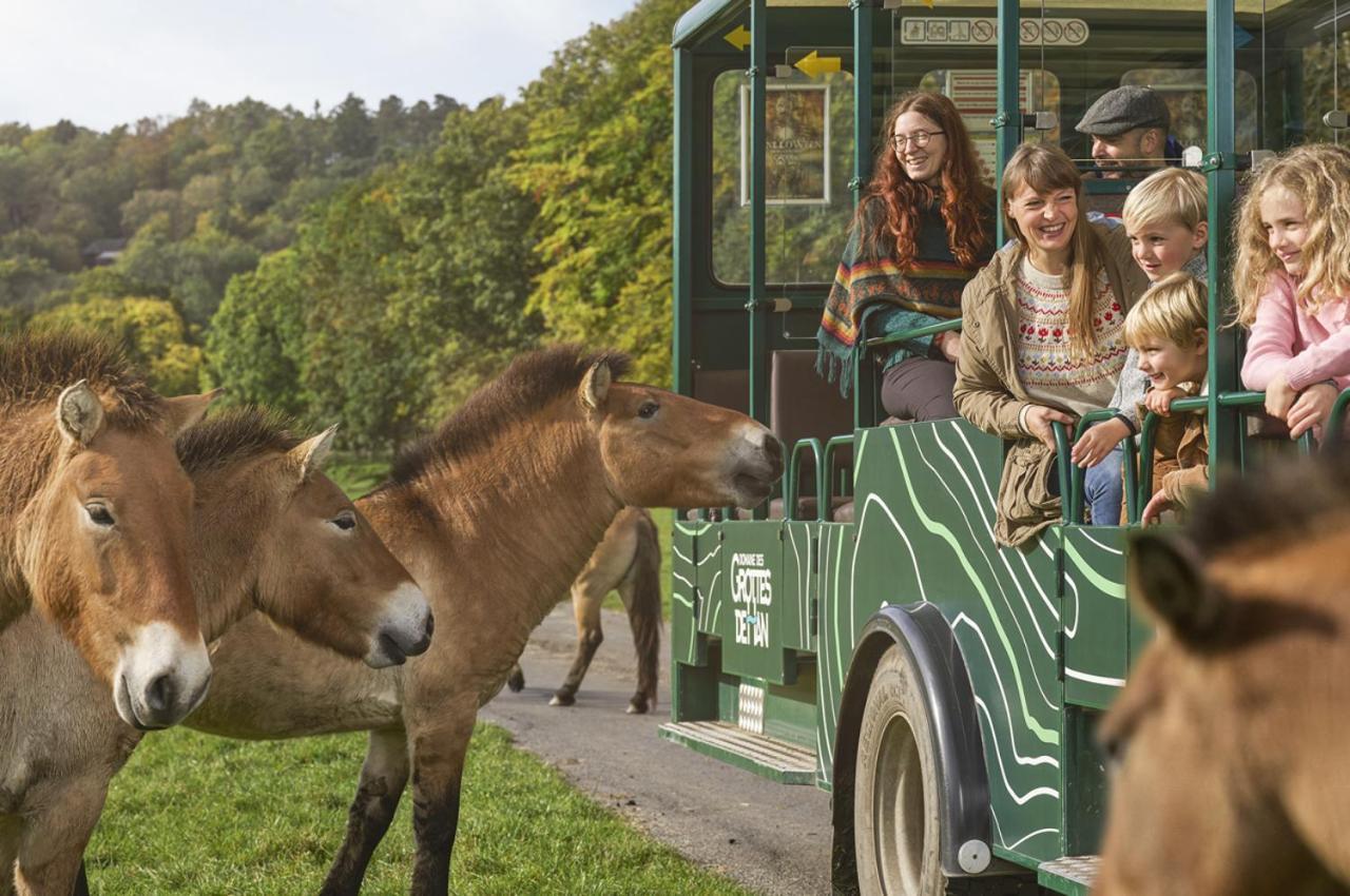 Vakantiestudio Ciney Chapois Exteriör bild