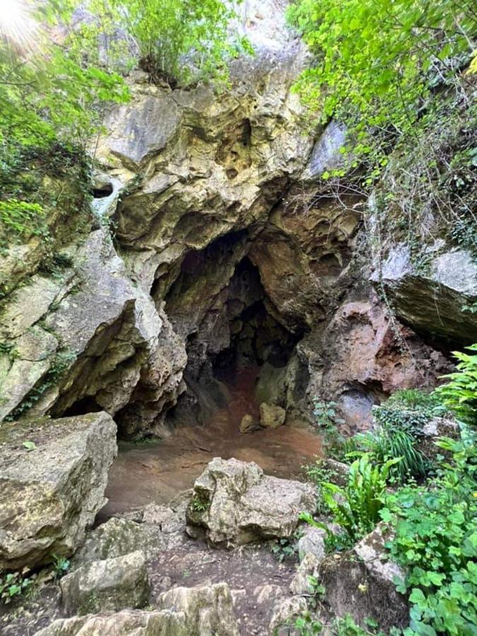 Vakantiestudio Ciney Chapois Exteriör bild